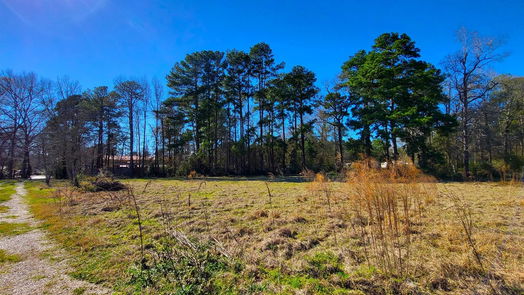 New Caney null-story, 3-bed 19320 Willaby Road-idx