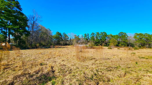 New Caney null-story, 3-bed 19320 Willaby Road-idx