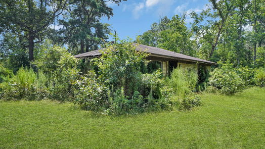 New Caney 1-story, 3-bed 20797 Idle Wilde Roadway-idx