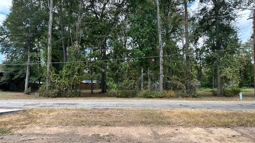 New Caney null-story, null-bed 359 Hollyglenn Street-idx