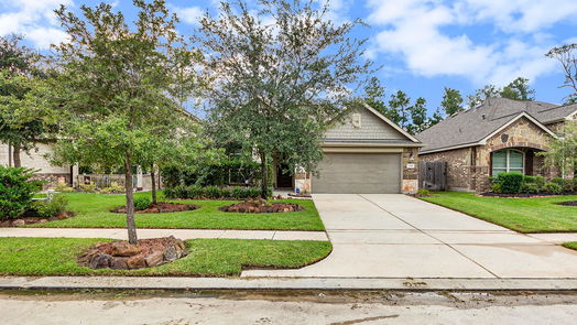 New Caney 1-story, 3-bed 23443 Banksia Drive-idx