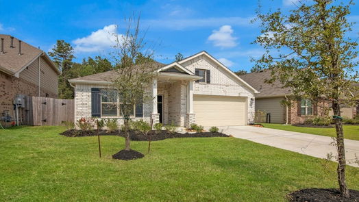 New Caney null-story, 4-bed 22143 Birchfield Grove Lane-idx