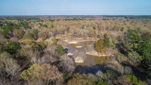 New Caney 2-story, null-bed 28235 Cambridge Blvd Boulevard-idx