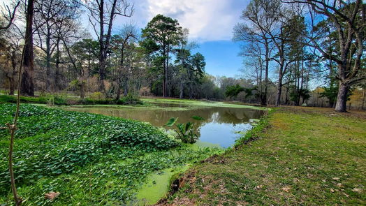 New Caney 2-story, null-bed 28235 Cambridge Blvd Boulevard-idx