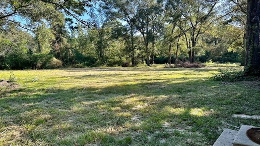 New Caney null-story, 4-bed 24761 Pine Drive-idx