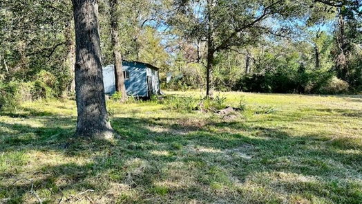 New Caney null-story, 4-bed 24761 Pine Drive-idx