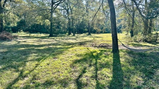 New Caney null-story, 4-bed 24761 Pine Drive-idx