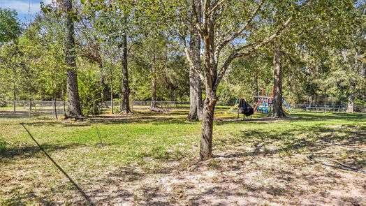 New Caney null-story, 4-bed 17142 Mustang Lane-idx
