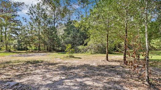 New Caney null-story, 4-bed 17142 Mustang Lane-idx