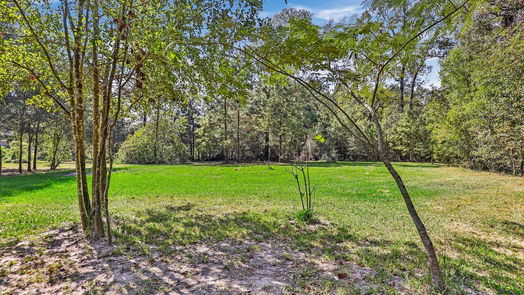 New Caney null-story, 4-bed 17142 Mustang Lane-idx