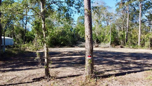 New Caney null-story, null-bed 21064 Idle Glen Roadway-idx