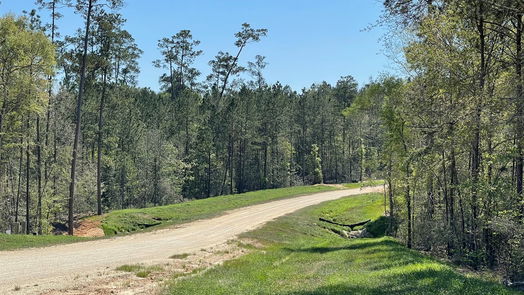 New Waverly null-story, null-bed 319 Exploration Road-idx