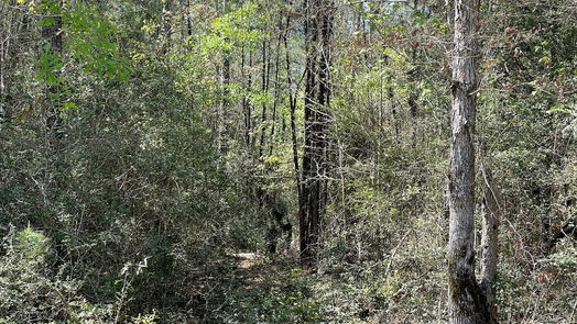 New Waverly null-story, null-bed 319 Exploration Road-idx