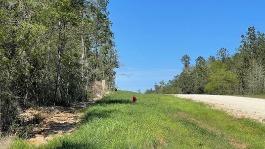 New Waverly null-story, null-bed 319 Exploration Road-idx