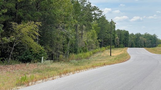 New Waverly null-story, null-bed 13-21-58 Bighorn Road-idx