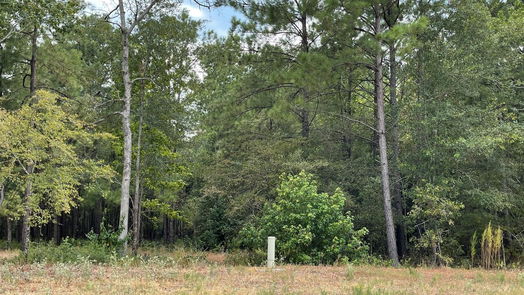 New Waverly null-story, null-bed 13-21-58 Bighorn Road-idx