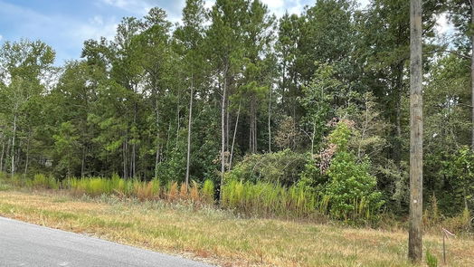 New Waverly null-story, null-bed 13-21-58 Bighorn Road-idx