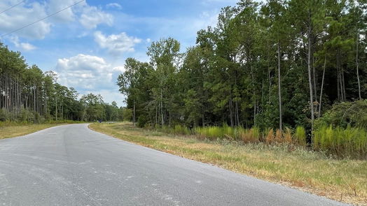 New Waverly null-story, null-bed 13-21-58 Bighorn Road-idx