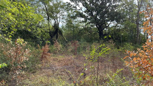 New Waverly null-story, null-bed 679 TX- 150-idx