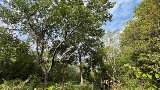 New Waverly null-story, null-bed 679 TX- 150-idx