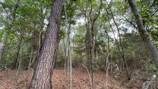 New Waverly null-story, null-bed 679 TX- 150-idx