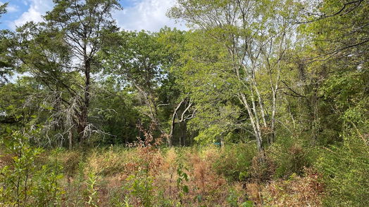 New Waverly null-story, null-bed 679 TX- 150-idx