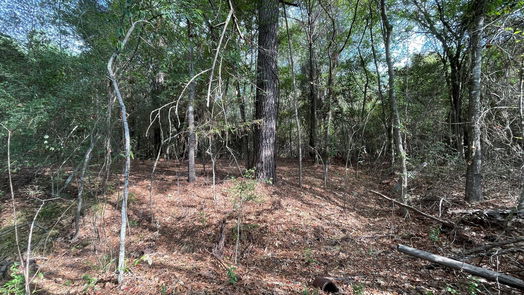 New Waverly null-story, null-bed 679 TX- 150-idx