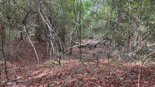 New Waverly null-story, null-bed 679 TX- 150-idx