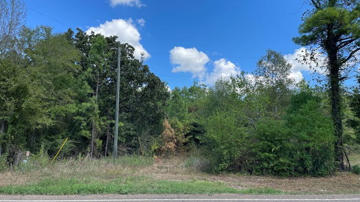 New Waverly null-story, null-bed 679 TX- 150-idx