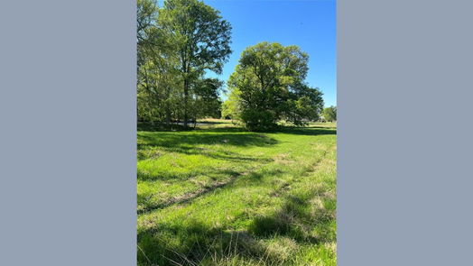 New Waverly null-story, null-bed 1238 Jones Road-idx