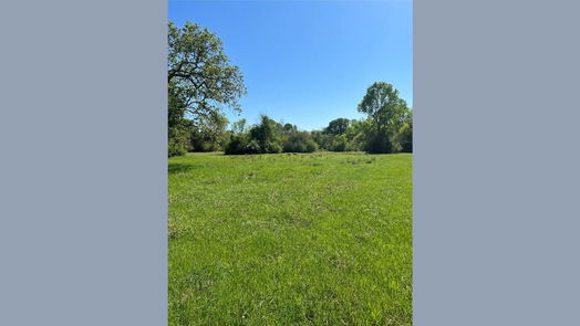New Waverly null-story, null-bed 1238 Jones Road-idx