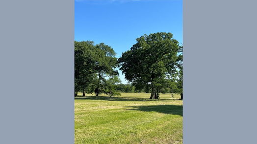 New Waverly null-story, null-bed 1238 Jones Road-idx