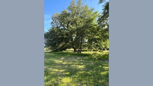 New Waverly null-story, null-bed 1238 Jones Road-idx