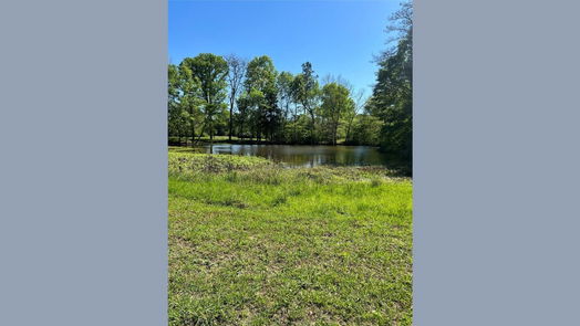 New Waverly null-story, null-bed 1238 Jones Road-idx