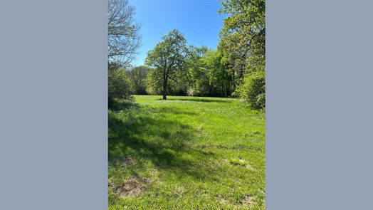 New Waverly null-story, null-bed 1238 Jones Road-idx