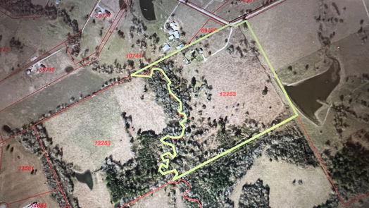 New Waverly null-story, null-bed 1238 Jones Road-idx