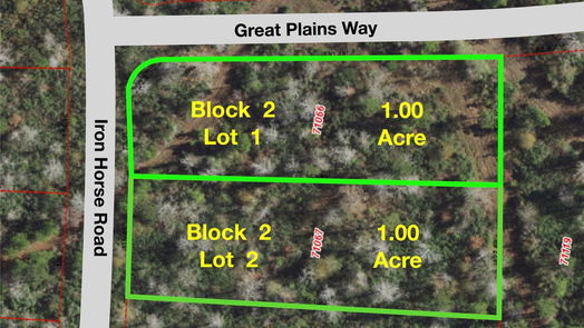 New Waverly null-story, null-bed 294 Iron Horse Road-idx
