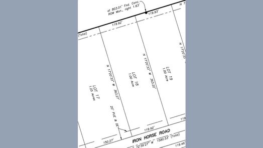 New Waverly null-story, null-bed 347 Iron Horse Road-idx