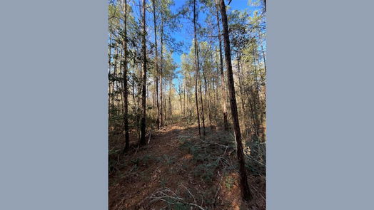 New Waverly null-story, null-bed 175 Exploration Road-idx