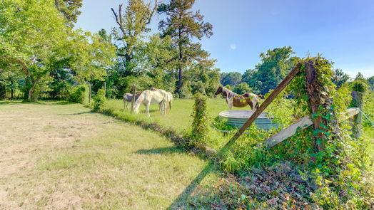 New Waverly 1-story, 4-bed 151 Parker Road-idx