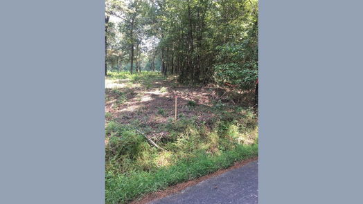 Onalaska null-story, null-bed TBD Farm Road 3459-idx