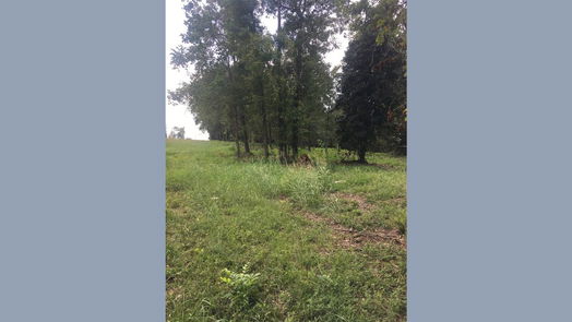 Onalaska null-story, null-bed TBD Farm Road 3459-idx
