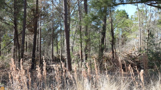 Onalaska null-story, null-bed 6-2 N HWY 356-idx