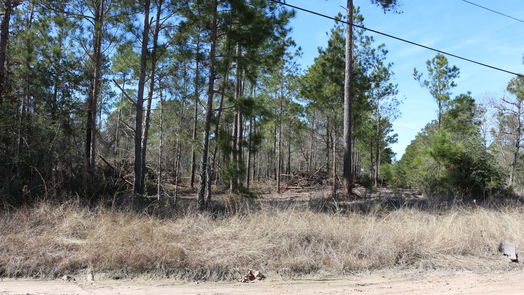 Onalaska null-story, null-bed 6-2 N HWY 356-idx