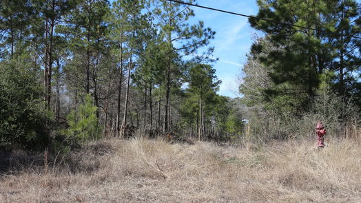 Onalaska null-story, null-bed 6-2 N HWY 356-idx