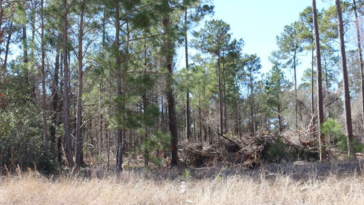 Onalaska null-story, null-bed 6-2 N HWY 356-idx