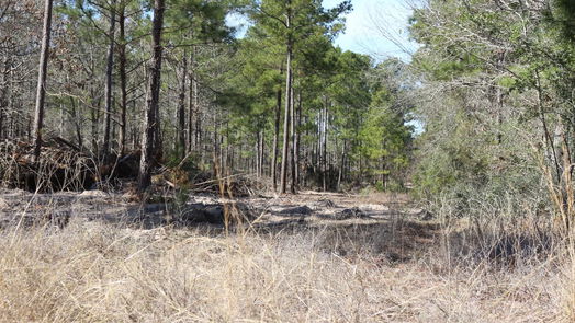 Onalaska null-story, null-bed 6-2 N HWY 356-idx