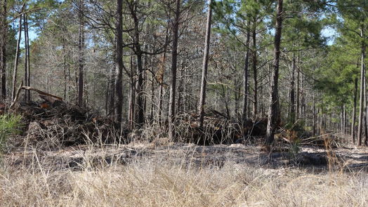 Onalaska null-story, null-bed 6-2 N HWY 356-idx