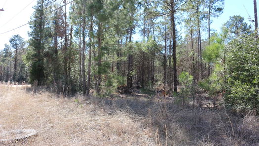 Onalaska null-story, null-bed 6-2 N HWY 356-idx