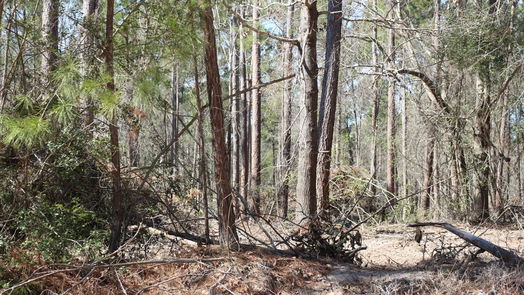 Onalaska null-story, null-bed 6-2 N HWY 356-idx